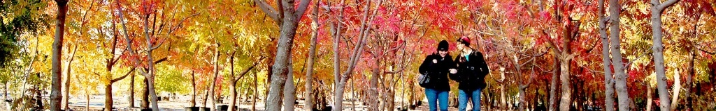 Richland College Campus