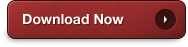Download the Handcrafted WP Starter Theme